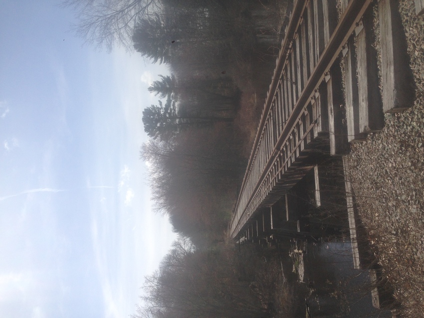 Photo of test